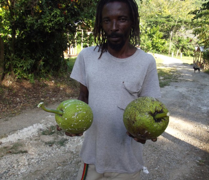 How to cook breadfruit jamaican style