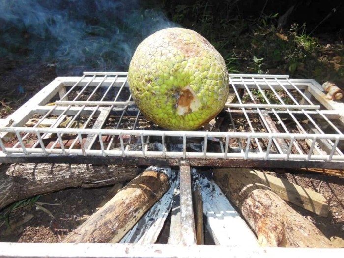 Breadfruit jamaican roasting diet flour smoothie