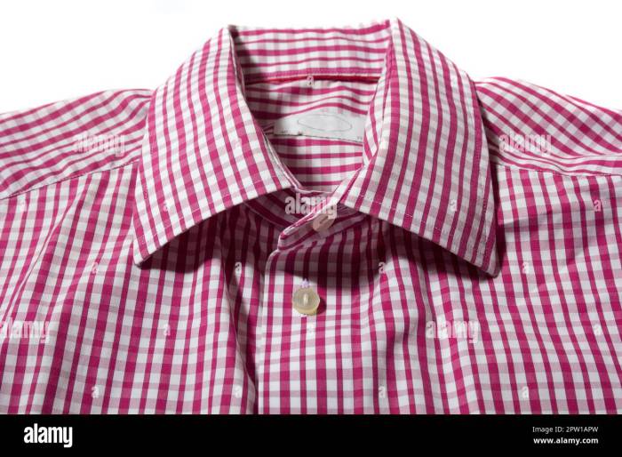 Mens colored dress shirts with white collar