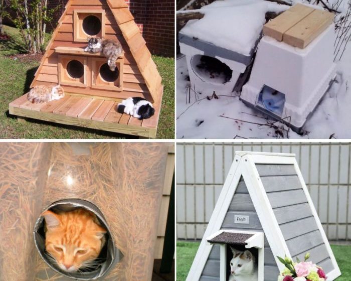 Desain rumah kucing outdoor yang bagus