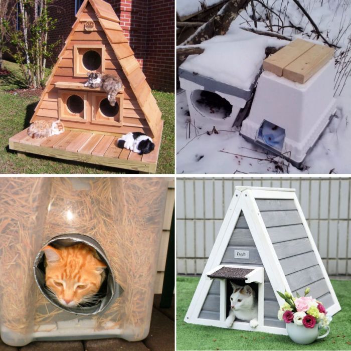 Desain rumah kucing outdoor yang bagus