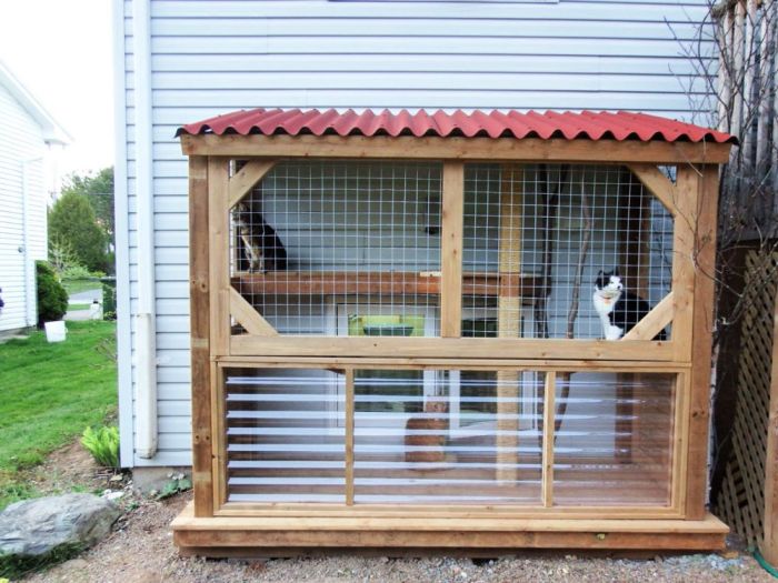 Desain rumah kucing outdoor yang bagus